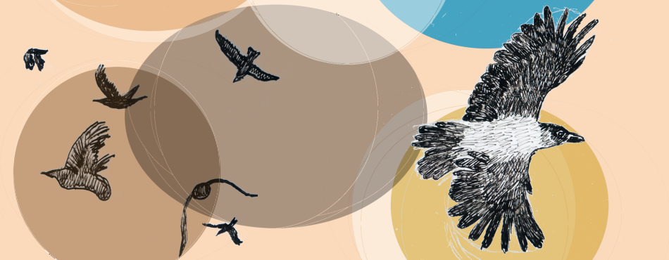 Cover-Illustration des Buches mit einer großen fliegenden Nebelkrähe und einigen kleineren Krähen, die einen lockeren Schwarm bilden.
